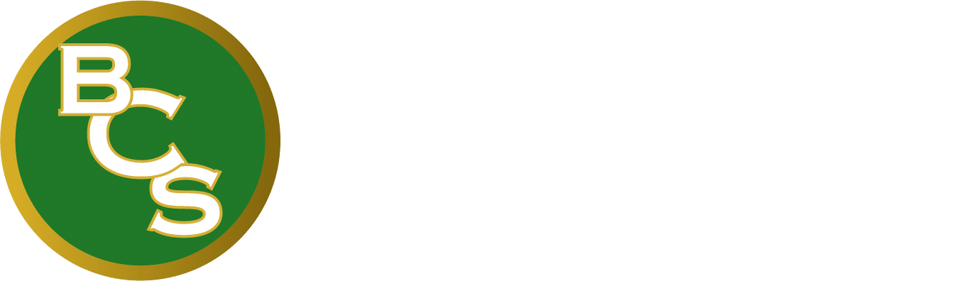 Business Consulting Solutions Logo